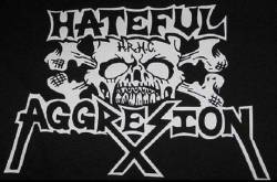 Hateful Aggresion : Hateful Aggresion